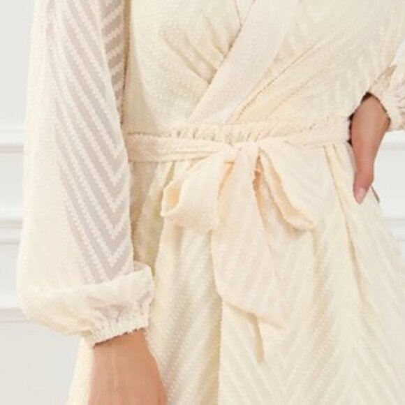 Surplice Long Sleeve Mini Dress - Picture 5 of 15